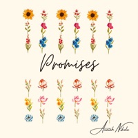 Promises - Anthem Worship, Anaiah Nikole & Mass Anthem