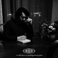 95 Lumina (feat. Ty Farris) - Single - Hollow Profit