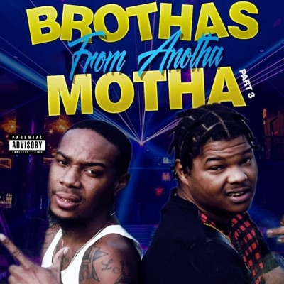 Brothas from Anotha Motha, Vol. 3