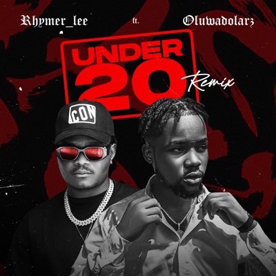 Under 20 (feat. Oluwadolarz) [Remix] - Single