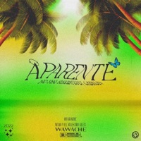 Aparente :) - Single - Huarache & Maxo IR