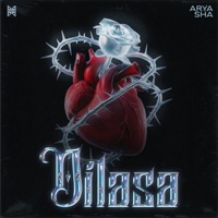 Dilasa - Single - Arya & sha