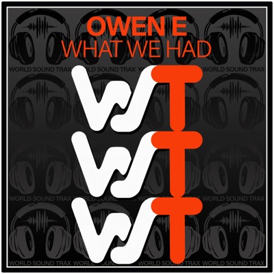 What We Had - Single