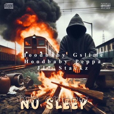 No Sleep (feat. Gslime & Hoodbaby Peppa) - Single