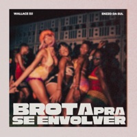 BROTA PRA SE ENVOLVER (feat. Enzzo da Sul) - Single - Wallace DJ
