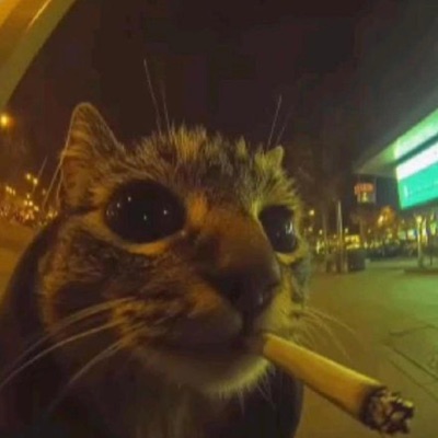 #CATS (feat. RYUK24 sgo) - Single