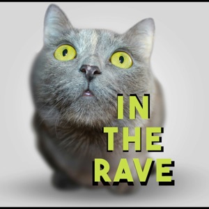 In the Rave - Single