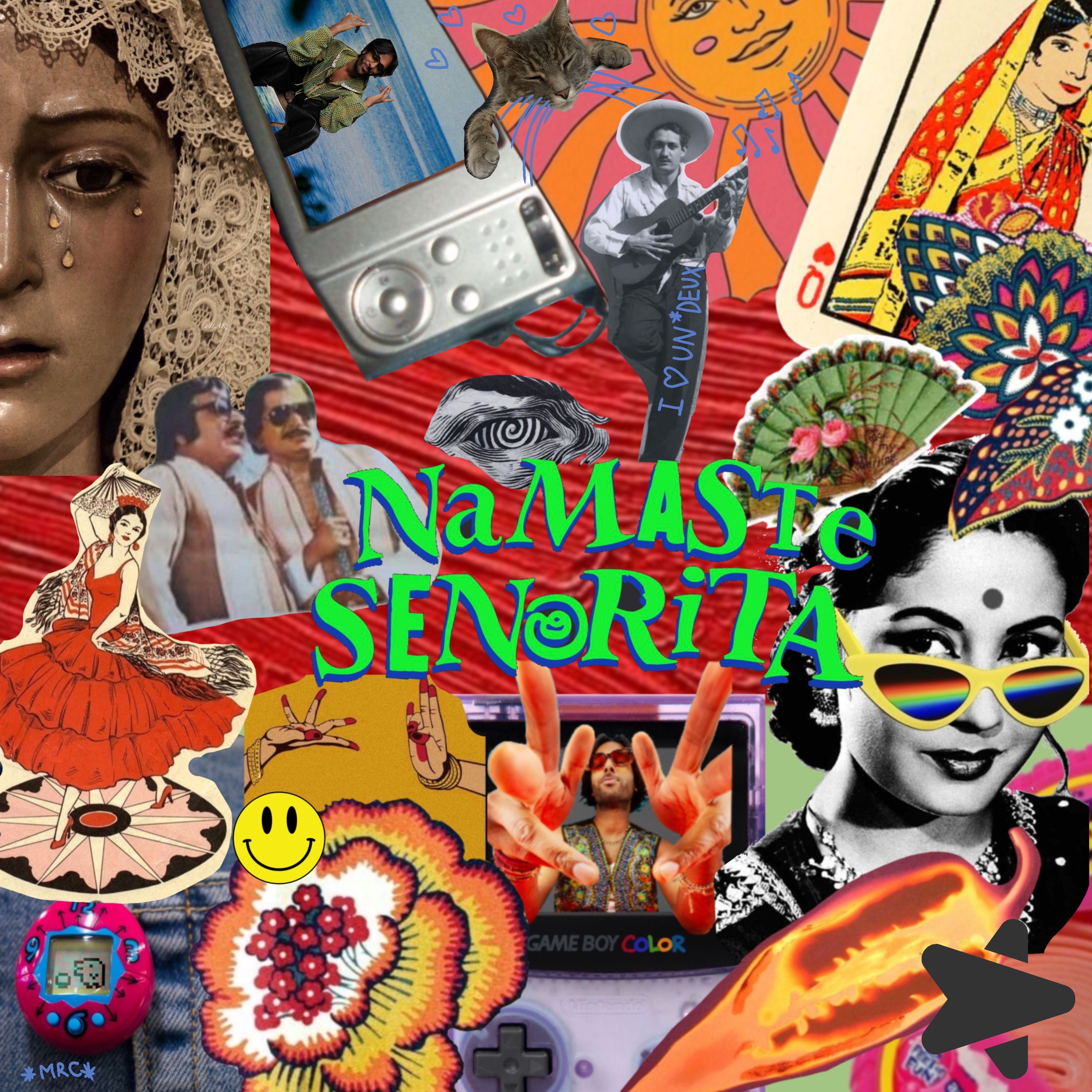 Namaste Senorita - Single