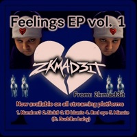 The feelings EP vol. 1 - EP - 2kmadeit