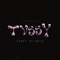 Tussy (Radio Edit) - Single - Dj Rojo