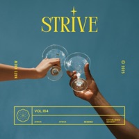 STRIVE - Single - Nate Knew