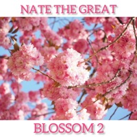Blossom 2 - EP - Nate the Great