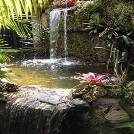 chase a check (feat. FPG Slatt) Lenio