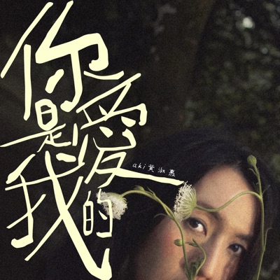 你是愛我的 - Single