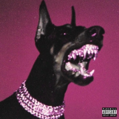 AI CANI - Single