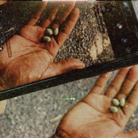 The Beautiful Endling - Propaganda & Matt Osowski