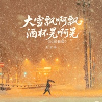 大雪飘啊飘酒杯晃啊晃(DJ彭锐版) - Single - Yuhan Jiang