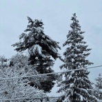 Winter Hues - Single