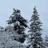 Winter Hues