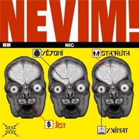 NEVIM! - Single - Pingi