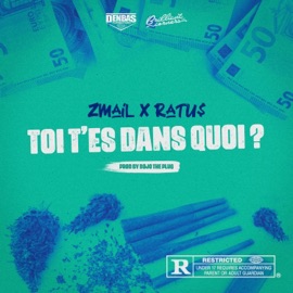 TOI T'ES DANS QUOI? (feat. Ratu$) Zmaïl