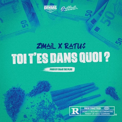 TOI T'ES DANS QUOI? (feat. Ratu$) - Single