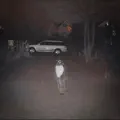 I'm A Spirit