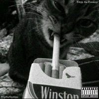 Stoję na funkcji Freestyle - Single - MlodyHacken