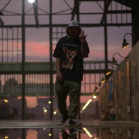 Follow Madness - Single - Cinoevil