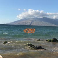 Project 4999 - Single - Airia