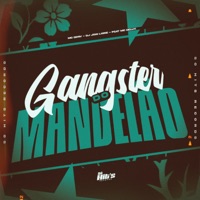 Gangster do Mandelão (feat. Mc Delux) - Single - DJ JOÃO LÊONE & MC Ddsv