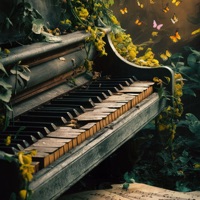 Alegria - Single - Sweet Dreams & D'Michel Leb