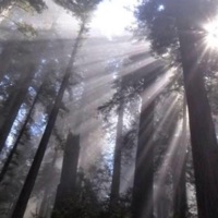 the sky (no lyrics) - Single - OGMaTrizz