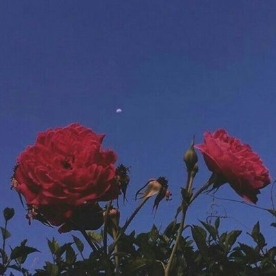 So Long, Goodbye - Single