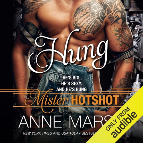 Hung: Mister Hotshot (Unabridged) cover