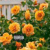 Amber Rose (feat. Pofsky) - Single - Somethingdope DG