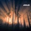 Through The Shadows - Single