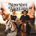 NUMA NOITE DE VAQUEJADA