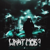 WHAT MOB ? (feat. TRAPP DANNY, DA D3 & ELIBEENDOINGIT) - Single - PM GHOSTIE