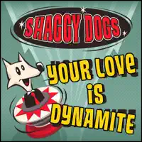 Your Love Is Dynamite — Shaggy Dogs