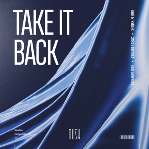 Take It Back - Single