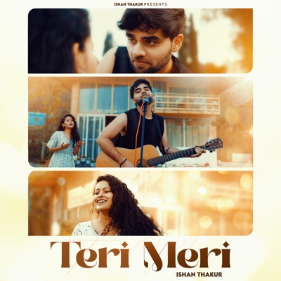 Teri Meri - Single