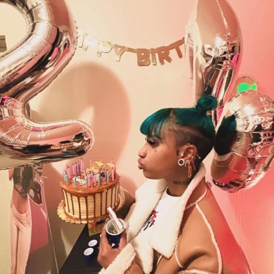 Birthday Bitch - Single