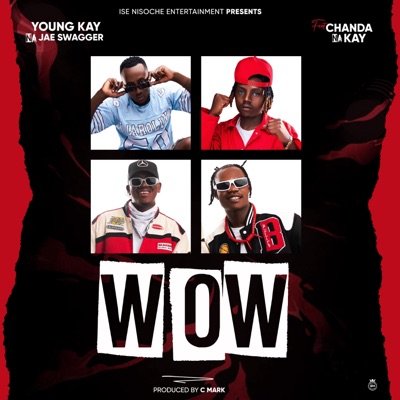 WOW (feat. Chanda Na Kay) - Single