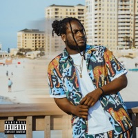 I Like (EDM Version) [Radio Edit] - Single - KT KingGenius