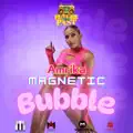 Magnetic Bubble