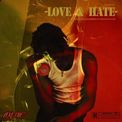 Love & Hate (feat. Jaden Heights) - Single