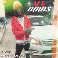 Like Me (feat. Icebirds) - Single - Percules