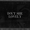 Callum J Wright - Isn't She Lovely (Acoustic) artwork