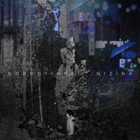Nizina EP - Nobodyinfact